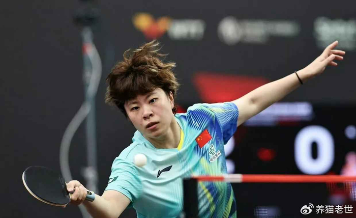开云体育官网-王艺迪输了，温特赢了，国乒下半区空了|王曼昱|WTT新加坡大满贯|莎宾·温特|张本美和|朱雨玲_新浪体育_新浪新闻